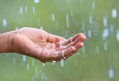 Weather : राज्याच्या विविध भागात पावसाचा अंदाज