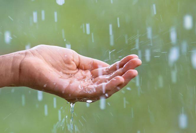 काही ठिकाणी गारपीट देखील होण्याचा अंदाज वर्तवण्यात आला आहे. हवामानातील बदलामुळं (Climate Change) शेती पिकांना फटका बसत आहे.