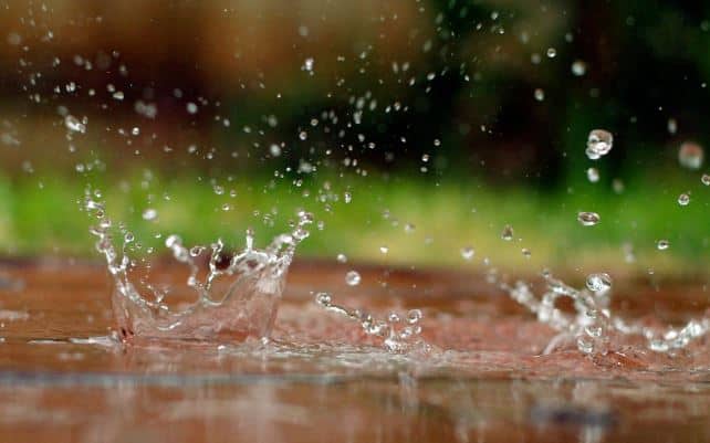 पश्चिम महाराष्ट्रातही हलका ते मध्यम स्वरुपाचा पाऊस पडण्याचा अंदाज हवामान विभागानं दिली आहे.