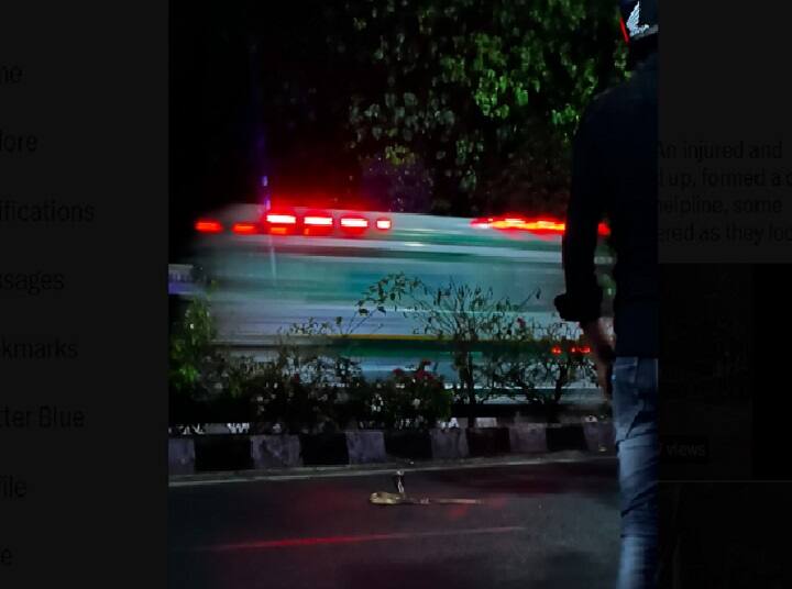 Bhubaneswar Locals Form Human Circle for Injured Snake Stuck on Road at Midnight பாம்புக்கு இரக்கம் காட்டிய மக்கள்.. இணையத்தில் வைரலாகும் வீடியோ