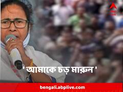' আমাকে চড় মারুন ' , 'চাপের সময়ে' ফের নিজের উপর বাজি ধরলেন মমতা