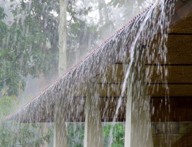 सध्या कांदा, गहू, हरभरा या पिकांची काढणी सुरु आहे. अशातच पाऊस आल्यास पिकांचं नुकसान होण्याची शक्यता आहे.