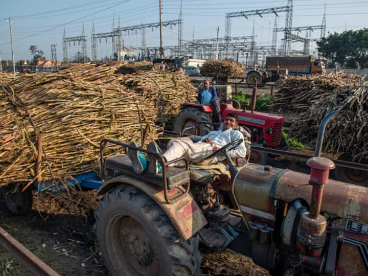 More Than 99.18% Sugarcane Arrears Paid To UP Farmers In 2021-22 Season: Food Ministry Tells LS More Than 99.18% Sugarcane Arrears Paid To UP Farmers In 2021-22 Season: Food Ministry Tells LS