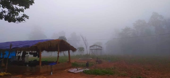 यहां 12 से भी अधिक वॉटरफॉल्स,आदिवासी अंचलों की सुंदरता, नैसर्गिक गुफाएं और यहां मौजूद घने जंगल और पहाड़ पर्यटकों को आकर्षित करती है, और यही वजह रहती है कि हर साल गर्मियों की छुट्टियों में बड़ी संख्या में पर्यटक बस्तर घूमने आते हैं.