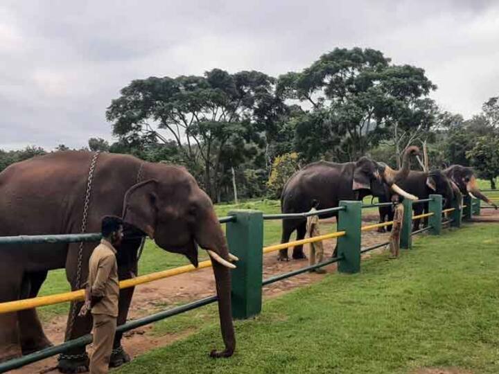 oscar winning tamilnadu cm mk stalin announce 9 crores for house anaimalai and mudumalai elephant service workers and give 1 lakh ஆஸ்கர் விருது; முதுமலை, ஆனைமலை பணியாளர்கள் 91 பேருக்கு தலா ரூ.1 லட்சம், வீடு கட்ட ரூ.9 கோடி நிதி - முதல்வர் அறிவிப்பு