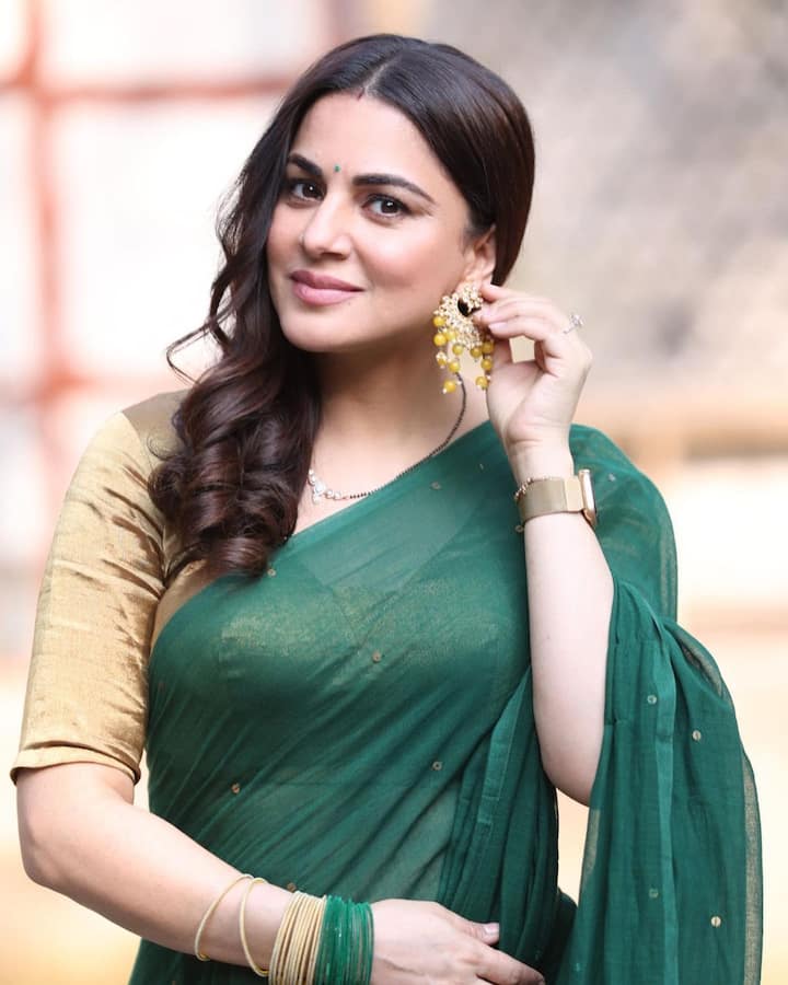 Shraddha Arya Poses In Lovely Sarees. See Pics