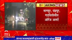 Nagpur Rain Alert : नागपूर विभागात उद्यापासून 19 मार्चपर्यंत वादळी वारे, गारपीट तसेच पावसाची शक्यता