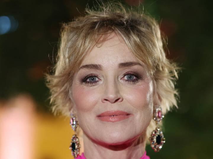 Actress Sharon Stone says lost custody of her son because of scene in Basic Instinct Sharon Stone: ”நிர்வாணமாக நடித்த நடிகை.. பிரிந்து சென்ற மகன்”... ஹாலிவுட் நடிகையின் கண்ணீர் கதை..
