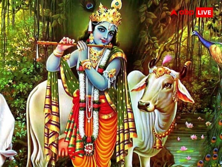 8. श्रीकृष्ण (Krishna Avatar): द्वापर युग में कृष्ण अवतार में भगवान विष्णु का जन्म हुआ था. इस अवतार में उन्होंने अधर्म को समाप्त कर धर्म की पुन: स्थापना के लिए महाभारत के धर्मयुद्ध में अर्जन के सारथी बने.