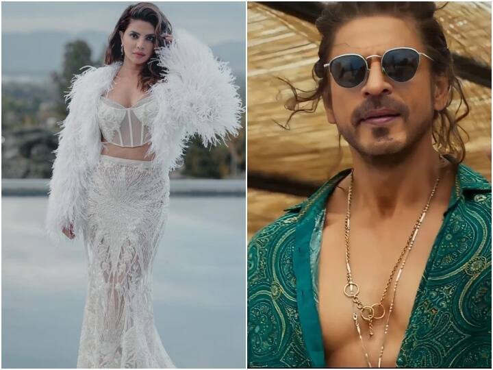 'हॉलीवुड फिल्में नहीं करूंगा' Shah Rukh Khan के इस कमेंट पर बोलीं प्रियंका चोपड़ा, कहा- 'कंफर्टेबल मेरे लिए बोरिंग' Priyanka Chopra Reaction on Shah Rukh Khan comment on will not do Hollywood films 'हॉलीवुड फिल्में नहीं करूंगा' Shah Rukh Khan के इस कमेंट पर बोलीं प्रियंका चोपड़ा, कहा- 'कंफर्टेबल मेरे लिए बोरिंग'