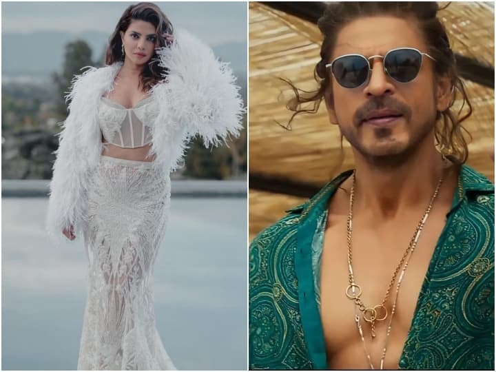 Priyanka Chopra Reaction on Shah Rukh Khan comment on will not do Hollywood films 'हॉलीवुड फिल्में नहीं करूंगा' Shah Rukh Khan के इस कमेंट पर बोलीं प्रियंका चोपड़ा, कहा- 'कंफर्टेबल मेरे लिए बोरिंग'