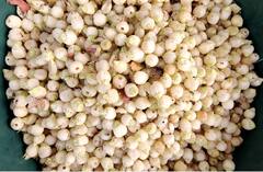 Mahua Flowers: मोहाची फुलं  ठरतायत आदिवासींसाठी वरदान