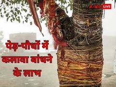 Kalawa Benefits: इन 7 पेड़-पौधों में कलावा बांधना होता है शुभ, बदल जाता है भाग्य और अकाल मृत्यु का नहीं रहता भय