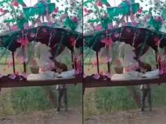 Viral Video: ਘੋੜੀ 'ਤੇ ਨਹੀਂ ਸਗੋਂ ਡੋਲੀ 'ਚ ਵਿਆਹ ਕਰਵਾਉਣ ਪਹੁੰਚਿਆ ਲਾੜਾ, ਤੁਸੀਂ ਵੀ ਦੇਖੋ ਖਾਸ ਐਂਟਰੀ ਦੀ ਵੀਡੀਓ