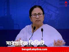 DA নিয়ে আন্দোলন, অথচ বেলা ১২টাতেও দেখা নেই! নবান্নে সারপ্রাইজ ভিজিটে গিয়ে ক্ষুব্ধ মুখ্যমন্ত্রী