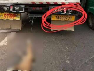 Crime: வாகனத்தில் கட்டி இழுத்துச் செல்லப்பட்ட நாய்.. கொதித்தெழுந்த முதலமைச்சர்..