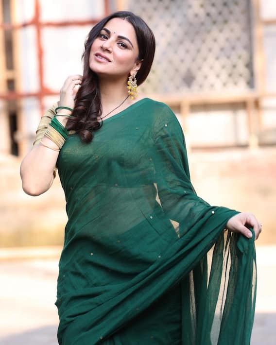 Shraddha Arya Poses In Lovely Sarees See Pics