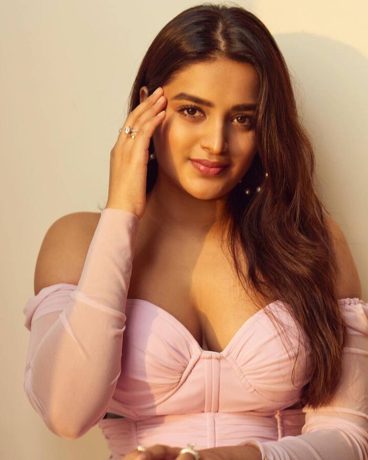 తాజాగా నిధి హాట్ హాట్ గా ఫోటోలకు పోజులిచ్చింది. Photo Credit: Nidhhi Agerwal /Instagram