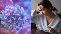 Health Tips: H3N2 વાયરસના પ્રકોપ વચ્ચે સ્વસ્થ રહેવા માટે માટે ડાયટમાં સામેલ કરો આ ફૂડ