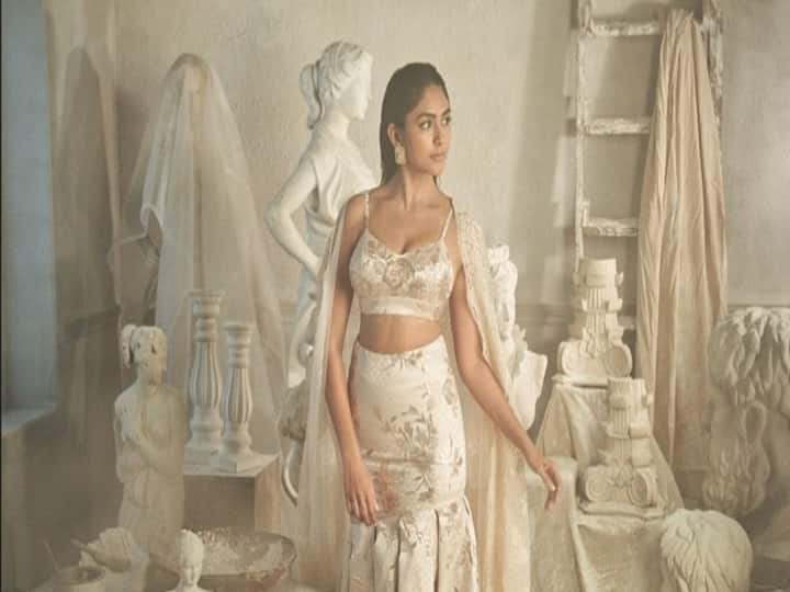 Mrunal Thakur's most recent photo session is capturing hearts on the internet.