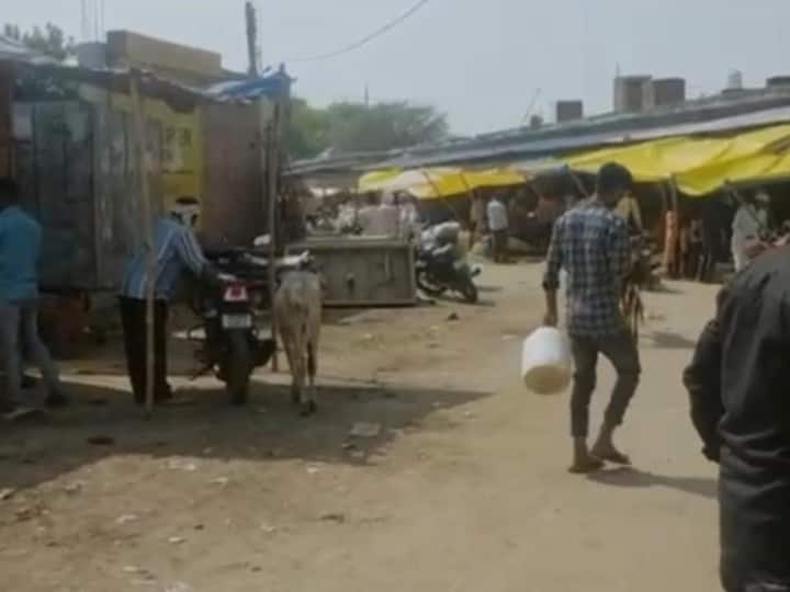 MP News: In Bhind, the city council cleared the garbage from the vegetable market overnight, the shopkeepers were worried about the lack of customers
