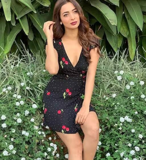 હિનાના ઈન્સ્ટાગ્રામ પેજ પર 553k ફોલોઅર્સ છે જ્યારે મલાઈકા અરોરાના 17 મિલિયનથી વધુ ફોલોઅર્સ છે.