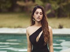 Nabha Natesh: అవకాశాలకోసం ఎదురుచూస్తున్న కన్నడ సోయగం