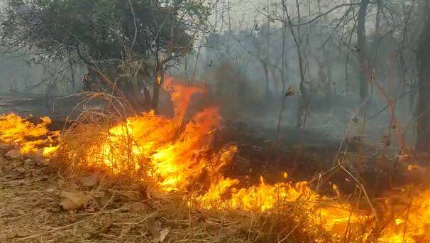 शहापूर तालुक्यातील नांदगाव जवळील तानसा अभय अरण्यात अचानक वणवा लागल्याने परिसरातील अनेक वन्य जीवांचे जीव धोक्यात आले आहे