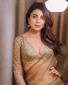 Photo : श्रिया सरनचा साडी लूक