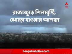 আবহাওয়ার গতি-প্রকৃতিতে বড় বদল, রাজ্যজুড়ে শিলাবৃষ্টি, ঝোড়ো হাওয়ার আশঙ্কা, কয়েকদিন চলবে দুর্যোগ
