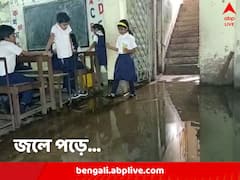 ঝুঁকে পড়লেও দেখা যায় না ছায়া, তাতে পা ডুবিয়েই পড়া-খাওয়া, হাওড়ার স্কুলের ‘জল-ছবি’