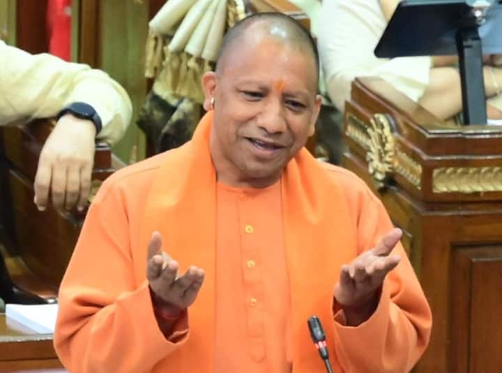 Lok Sabha election 2024 Yogi Adityanath government give compensation to farmers affected by stray animals ann UP Politics: लोकसभा चुनाव से पहले आवारा पशुओं के मुद्दे की बीजेपी ने निकाली काट, जानें क्या है तैयारी?