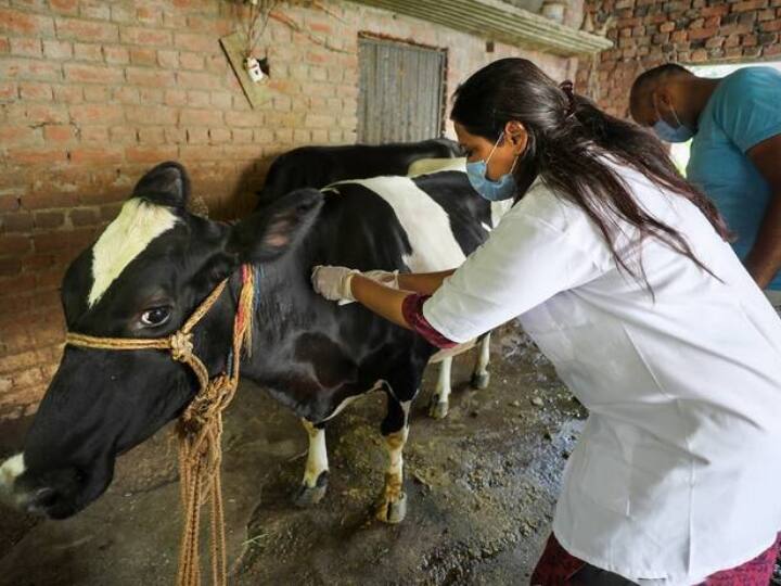 TANUVAS Application Deadline Extension for Veterinary Medicine, BTech B tech admission poultry food technology Courses- Details! கால்நடை மருத்துவம், பிடெக் படிப்புகளுக்கு விண்ணப்பிக்க அவகாசம் நீட்டிப்பு- விவரம்!