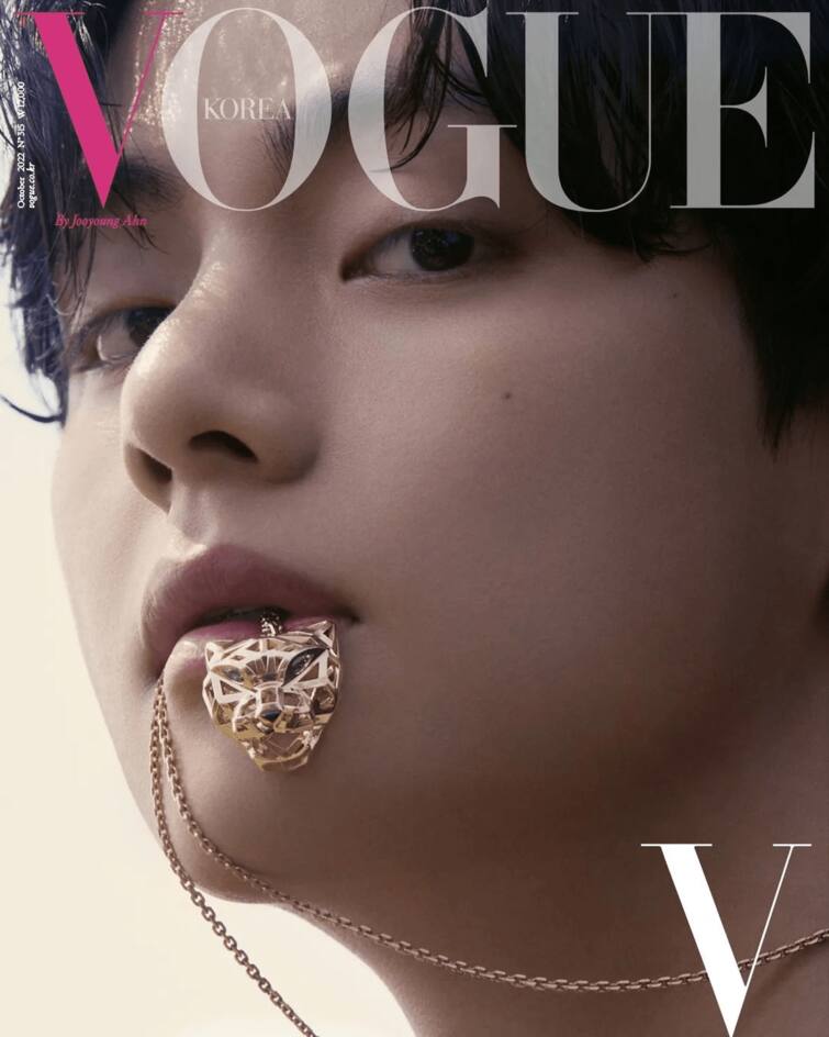 BTS: Celine Website Crashes After V aka Kim Taehyung's Elle Cover is  Revealed, See Pics - News18