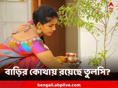 ঘরে অসুস্থতা-খরচ-ঝগড়া? তুলসি গাছ কোনদিকে রয়েছে দেখেছেন?