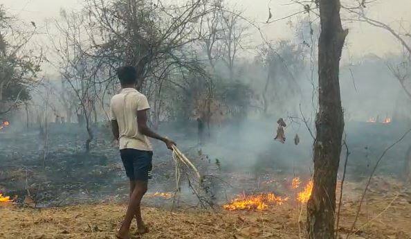 सायंकाळच्या सुमारास हा वणवा लागल्याची घटना घडली. दरम्यान, आगीची माहिती मिळताच नागरिकांनी आगीवर नियंत्रण मिळवण्याचा प्रयत्न केला मात्र आग मोठी असल्यानं नियंत्रण मिळवता आले नाही.