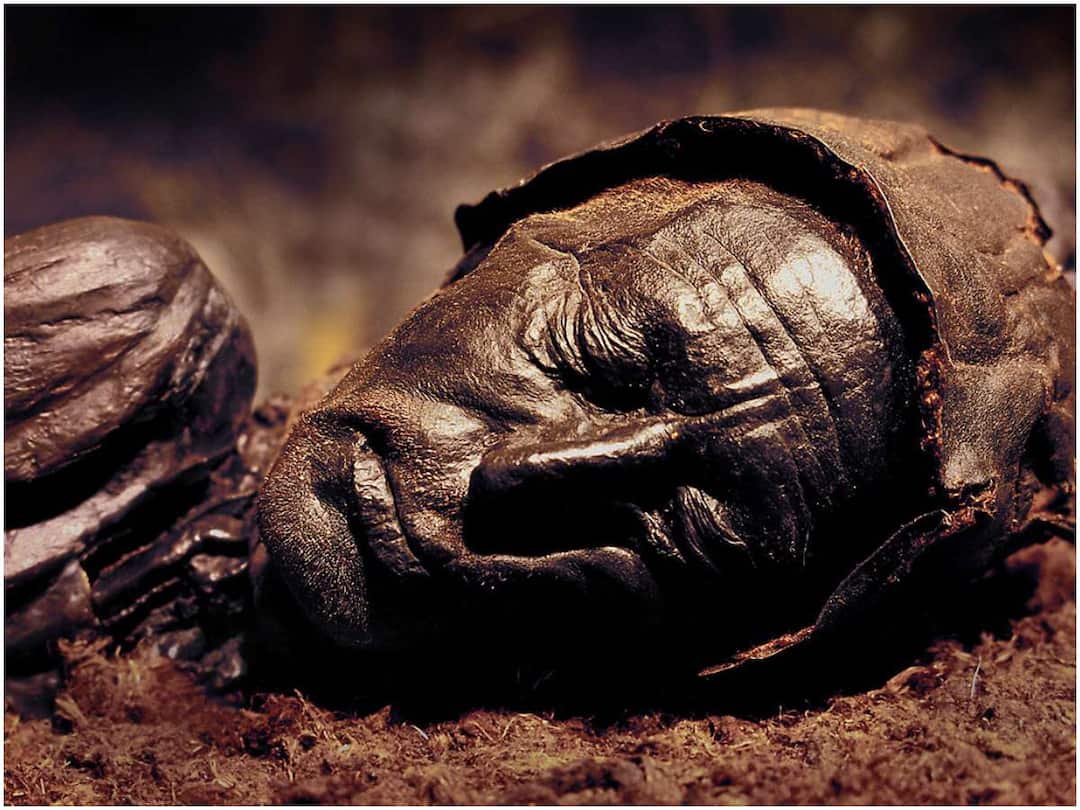 2400-year-old mummy - researchers discover what the man ate before he died Mummy: 2400 ఏళ్లనాటి మమ్మీ - మరణించే ముందు ఆ వ్యక్తి ఏం తిన్నాడో కనిపెట్టిన పరిశోధకులు