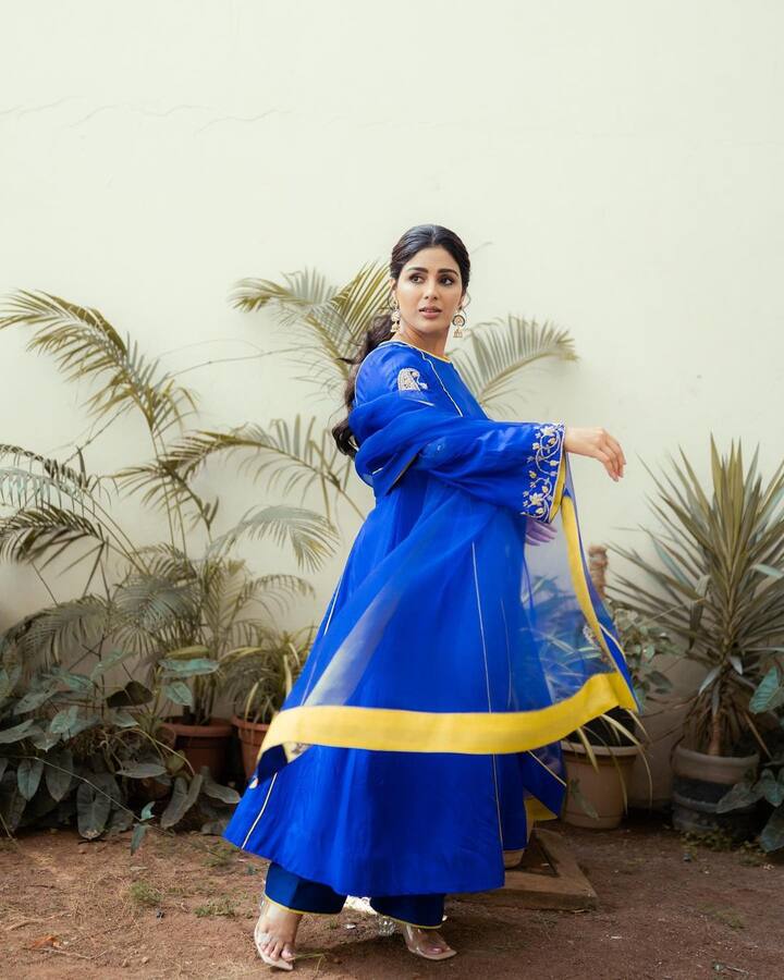 సంయుక్తమీనన్ (Image Credit/ Samyuktha Menon Instagram)