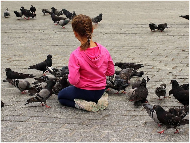 Pigeons: Why do doctors say to stay away from pigeons?  What are the problems that come with them?