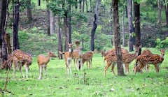 In Photos: जानें 20 से ज्यादा पर्यटन स्थलों और प्रसिद्ध वॉटरफॉल्स की खासियत, छुट्टी मनाने के लिए है बेस्ट