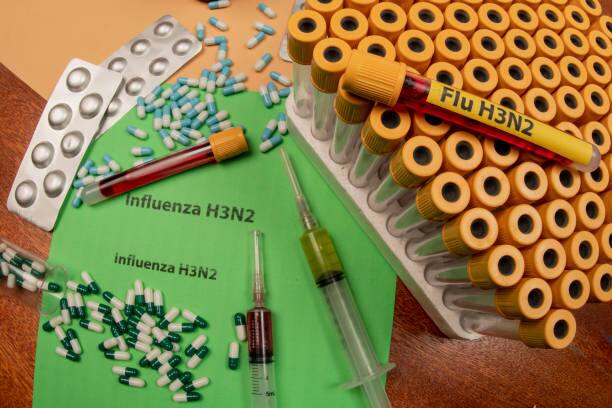 देश आता कुठे कोरोनातून सावरत असताना  H3N2 व्हायरसनं चिंता वाढवली आहे. भारतात H3N2 इन्फ्लूएंझाच्या दोन रुग्णांचा मृ्त्यू झाला आहे. त्यामुळे चिंता वाढली आहे.