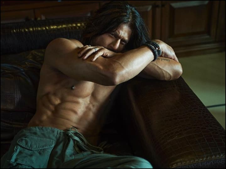 Shah Rukh Khan Was the First Choice the Roll of Chandra Shekhar Azad in Rang De Basanti Watch to This Movie on OTT Platform Netflix जब इस सुपरहिट फिल्म में 'चंद्रशेखर आजाद' बनते-बनते रह गए थे SRK, इस OTT प्लेटफॉर्म पर देखें वो मूवी