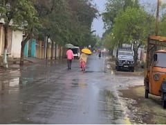 बुलढाण्यासह परभणी जिल्ह्यात अवकाळी पाऊस, शेतकऱ्यांची तारांबळ; रब्बी पिकांना फटका बसण्याची शक्यता 