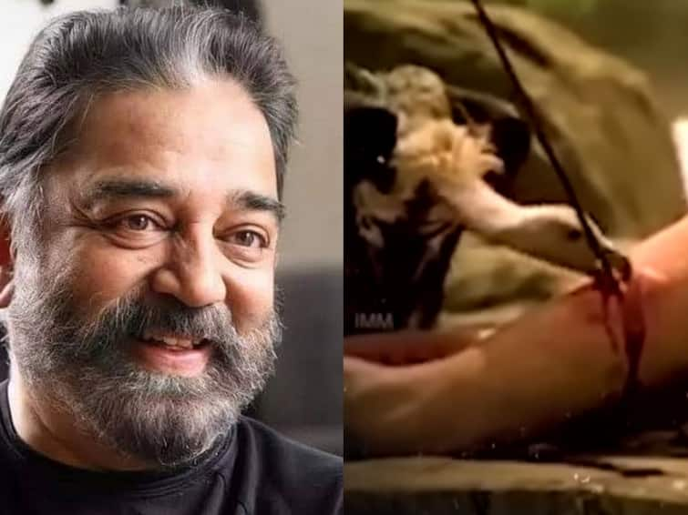 5 star security for that vulture Kamal Haasan opens up about the making of Marudhanayagam ஒரு கோடி செலவாகுமா? - மருதநாயகம் படத்திற்காக கமல்ஹாசன் செய்த பலே காரியம்!