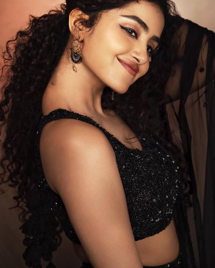 అనుపమా పరమేశ్వరన్ -Image Credit: Anupama Parameswaran/Instagram