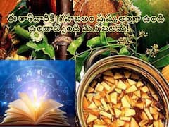 Ugadi Panchangam in Telugu (2023-2024): ఈ రాశివారికి శ్రీ శోభకృత్ నామ సంవత్సరంలో అన్నింటా జయమే, ఆదాయం-గౌరవం-ఉద్యోగం అన్నింటా అనుకూలమే!
