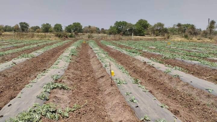छत्तीसगढ़ के बस्तर संभाग में भी गुरुवार को हुई तेज बारिश ने जमकर तबाही मचाई. दोपहर बाद अचानक आए मौसम में बदलाव की वजह से बस्तर जिले के साथ-साथ संभाग के 4 जिलों में जमकर बारिश हुई और कई जगहों पर ओले भी गिरे. खासकर बस्तर, दंतेवाड़ा, बीजापुर और सुकमा में बारिश ने जमकर कहर बरपाया.