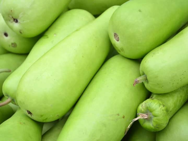 benefits of eating bottle gourd in summer तपती गर्मी में खूब करें ठंडी तासीर वाली लौकी का सेवन...मिलेंगे ये 5 जबरदस्त फायदे