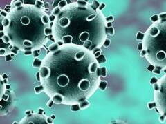 हिमाचल में चार दिन में कोरोना से दूसरी मौत, सक्रिय मामलों की संख्या में भी बढ़ोतरी