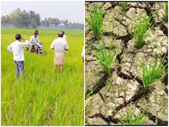 Konaseema News : సాగునీటి ఎద్దడితో ఎండిపోతున్న వరిచేలు, పొలంలో బైక్ లు నడుపుతూ రైతుల వినూత్న నిరసన